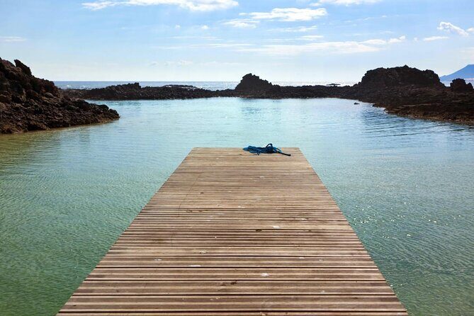 Lobos Island - The dolphin route - Lobos Island - The Dolphin Route: A Practical Guide for Nature Lovers