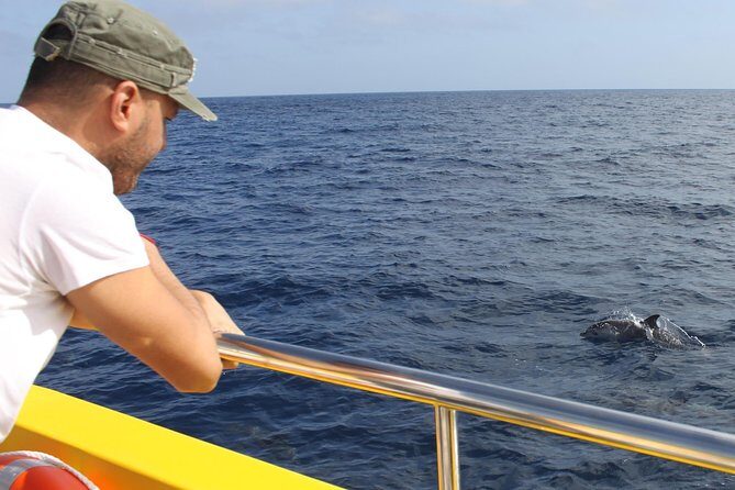 Lobos Island - The dolphin route - FAQs
