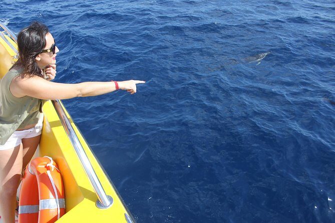 Lobos Island - The dolphin route - Final Thoughts