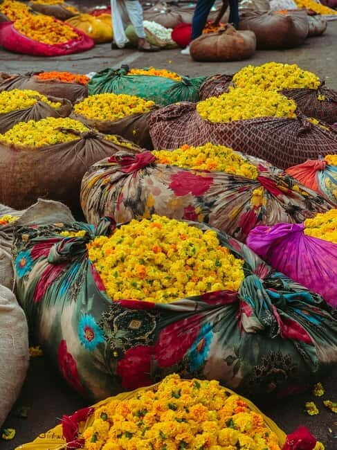Local breakfast + Flower market + Pink city tour - A Deep Dive into the Jaipur Morning Tour