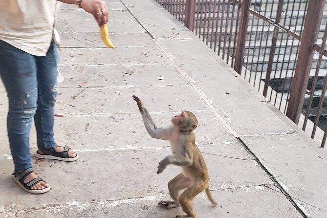 Local breakfast & full city tour by TukTuk - A Deep Dive into the Jaipur Tuk-Tuk Experience