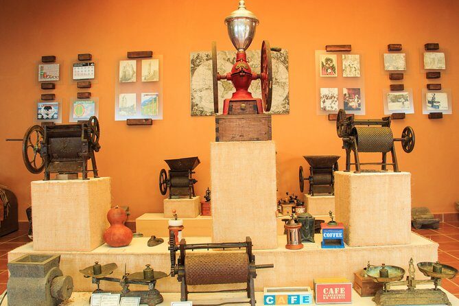 Local Coffee Tasting and Cultural Experience - Discover Oaxaca’s Coffee and Culture on a Full-Day Tour from Huatulco