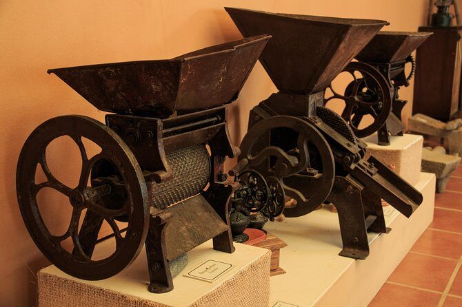 Local Coffee Tasting and Cultural Experience - A Detailed Look at the Experience