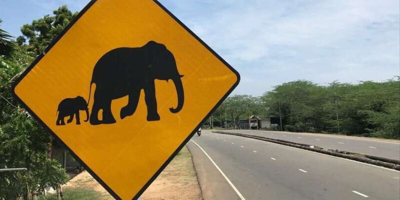 Local cultural tour by Modern Tuk Tuk - Final Thoughts: Who Should Consider This Tour?