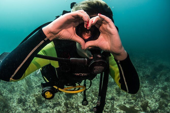 Local Dive in Playa del Carmen - The Sum Up: Who Should Book This Tour?