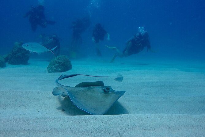 Local diving Bávaro -Double tank - Summary