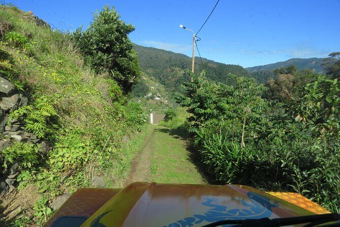 Local Farmers Market and 4WD Experience from Funchal - Exploring the Itinerary in Detail