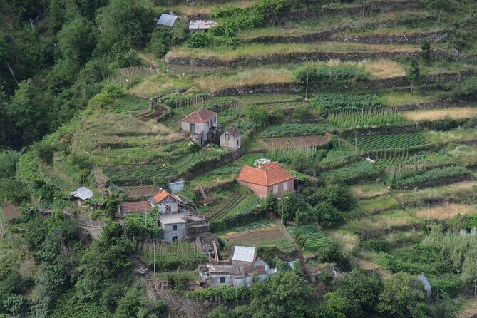 Local Farmers Market and 4WD Experience from Funchal - Final Thoughts