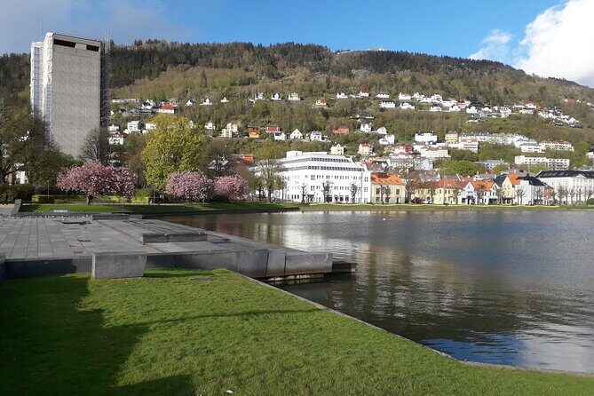 Local food tasting & Excursion with a city view from the top 4pax - A Deep Dive into the Bergen Food and Scenery Tour