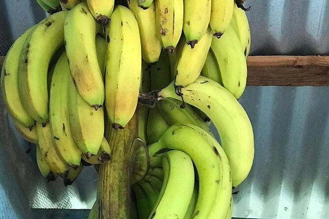 Local food tour and local fields - Authentic Food and Local Culture in Every Bite