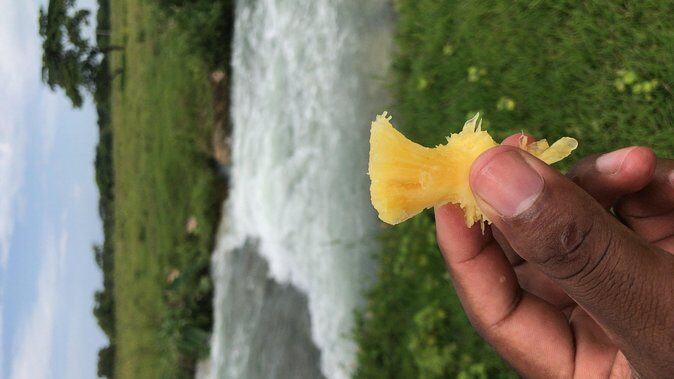 Local food tour and local fields - The Sum Up: Who Will Love This Tour?