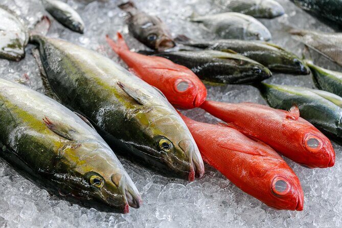 Local fresh fish shop premium backyard experience - The Sum Up