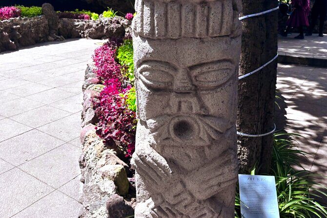 Local Fun from CDMX to The Grotto and the Pyramids of Teotihuacá - Who Should Consider This Tour?