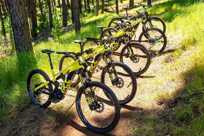 Local Gems 3 Hour MTB Small Group Tour - An In-Depth Look at the Tour