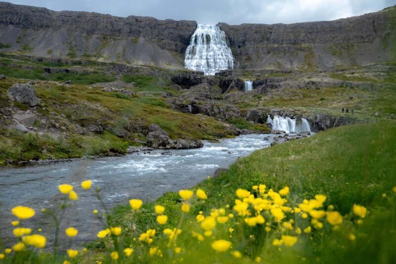 Local Guide Private Tour from Ísafjörður-Flexible Itinerary - Exploring Iceland’s Westfjords with a Private Guide: An Authentic and Flexible Adventure
