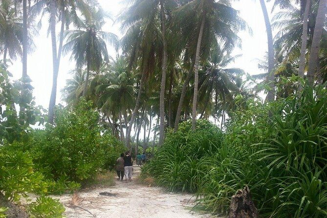 Local Island Day Trip from Hulhumale - Key Points