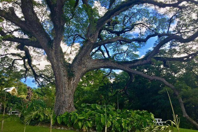 Local Lunch & Half Day Island Tour - Option 2 - Frequently Asked Questions