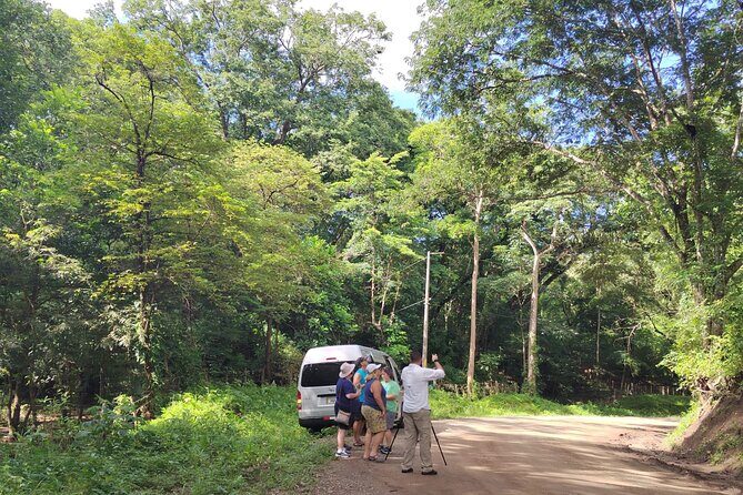 Local Sightseeing & Mangrove Tour - Discover Costa Rica’s Hidden Coastal Corners with the Local Sightseeing & Mangrove Tour