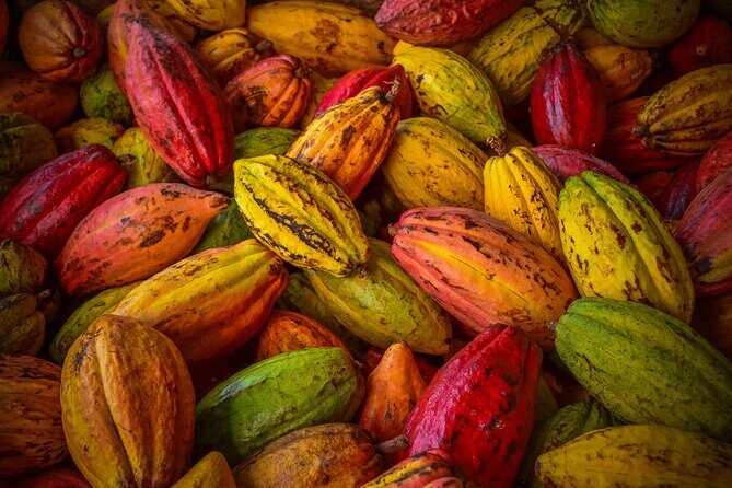 Local Swiss Chocolate Tasting - Meet the Guides: Why They Matter