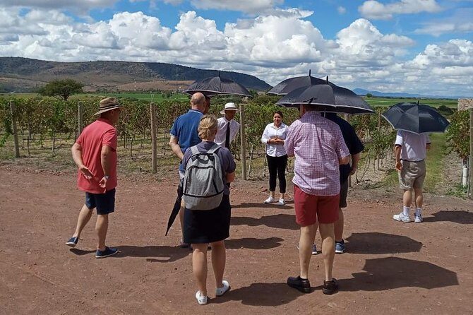 Local Vineyard Tour & Wine Tasting at the Independence Valley - A Deep Dive into the Tres Raices Vineyard Tour