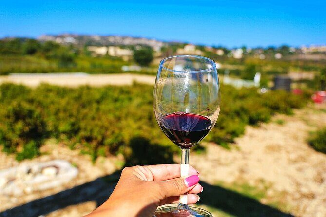 Local Wineries Tour with Wine Testing from Paphos - Experience the Best of Cypriot Wine on a Guided Wineries Tour from Paphos