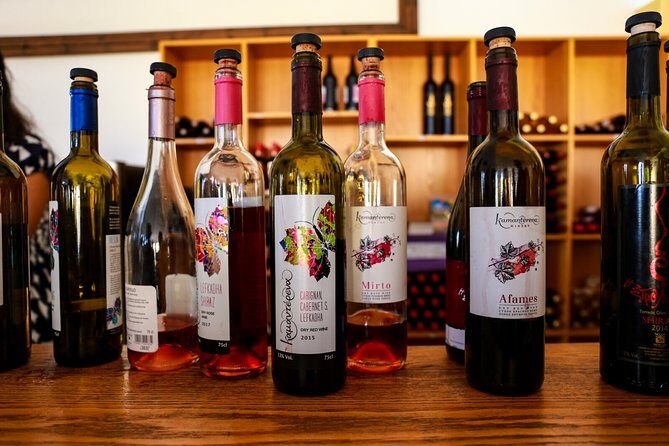 Local Wineries Tour with Wine Testing from Paphos - What Travelers Say