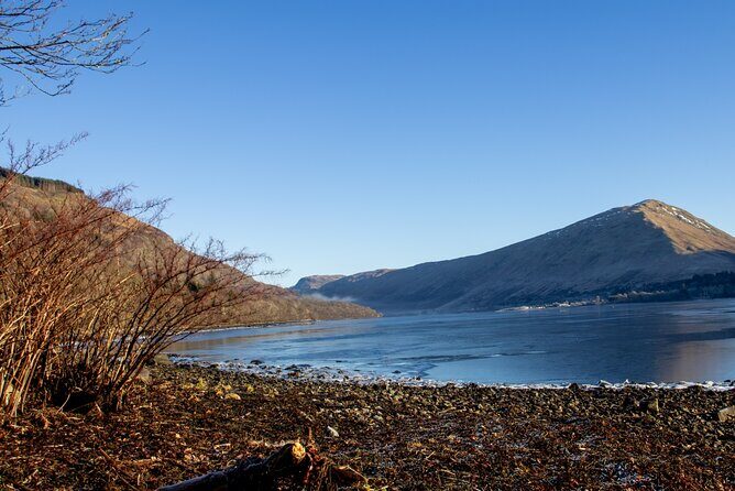 Loch Lomond, Highland Cows, Victorian Town, Kelpies Half-Day Tour - Who is this tour best suited for?
