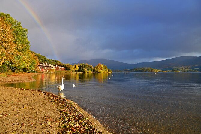 Loch Lomond National Park & Stirling Castle Full Day Tour - In-Depth Review: Your Guide to the Loch Lomond & Stirling Castle Tour