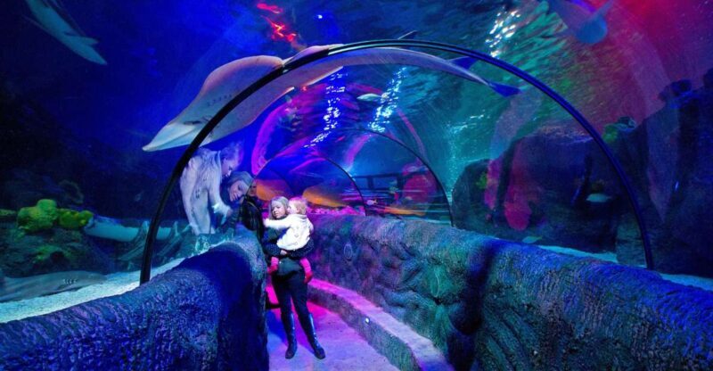 Loch Lomond: Sea Life Entrance Ticket - A Closer Look at the Loch Lomond Sea Life Experience
