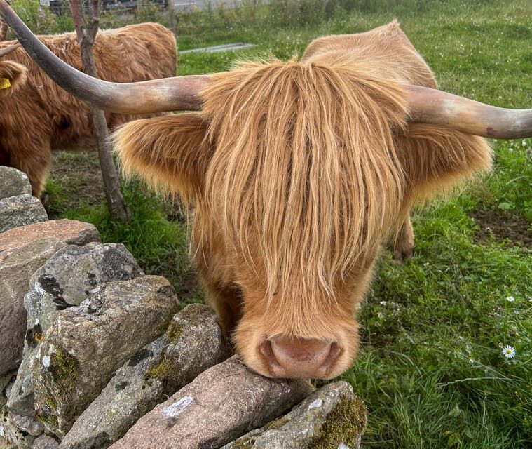 Loch Lomond, Stirling Castle and the Kelpies: Private Tour - FAQ