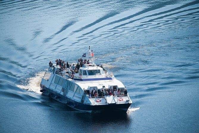 Loch Ness 1-Hour Cruise with Urquhart Castle Views - Authentic Experiences and Traveler Feedback