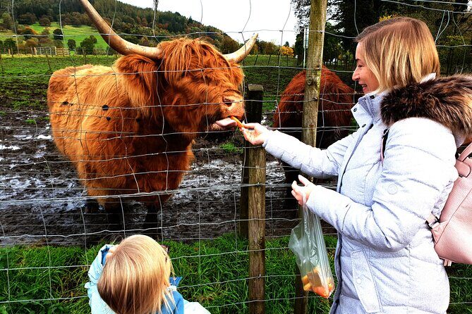 Loch Ness, Glencoe and the Highlands Private Day Tour - Key Points