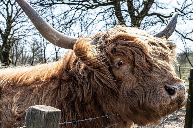 Loch Ness Private Day Tour up to 8 passengers - FAQ
