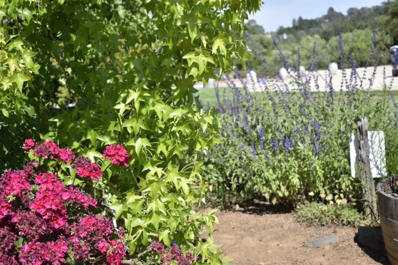 Lodi: Wine Tasting Tour Private Customized 1 -14 Group - FAQ: Your Practical Questions Answered