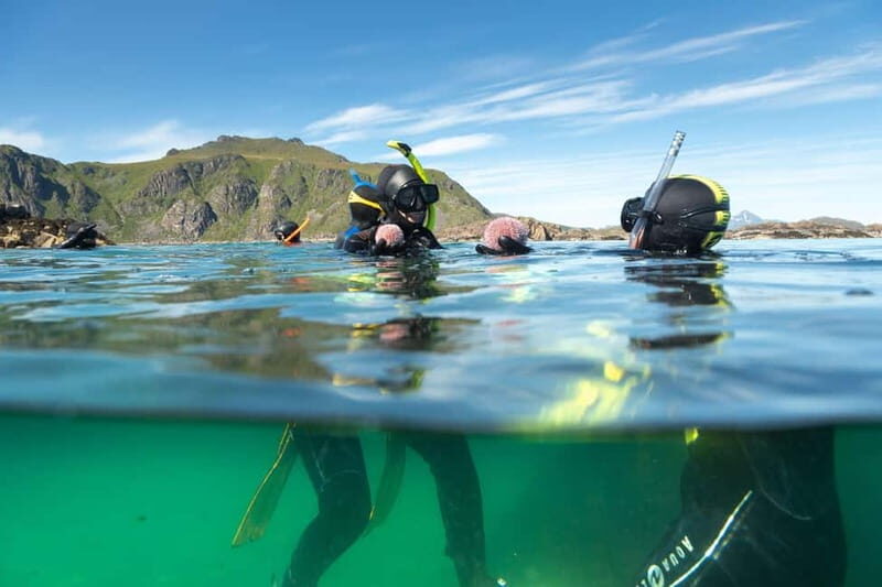 Lofoten: Family Snorkeling Tour - What Makes This Tour Special?