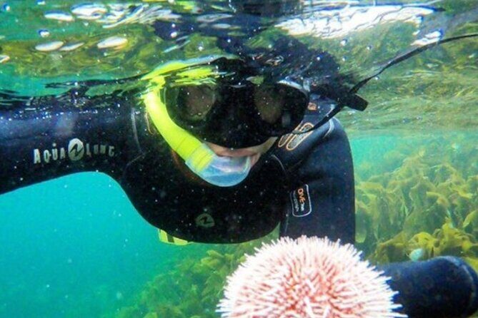 Lofoten Grand Canyon Snorkeling Tour - Key Points
