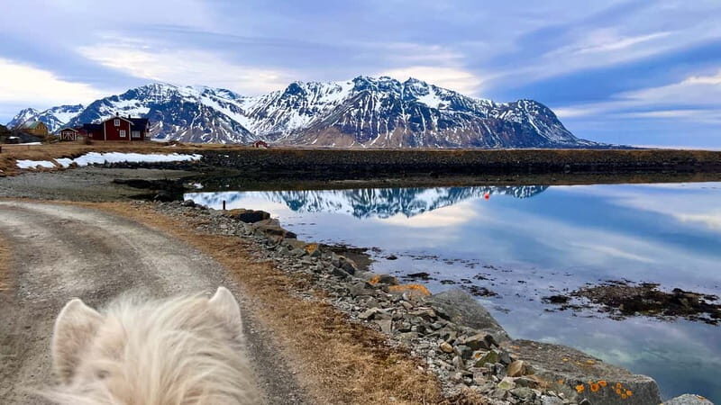 Lofoten: Guided Horse Riding Tour Over Hov and Hovsund - Exploring the Lofoten Horse Riding Experience