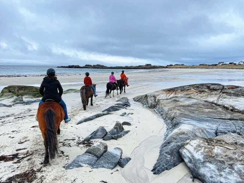 Lofoten: Guided Horse Riding Tour Over Hov and Hovsund - Authenticity and Experience Quality