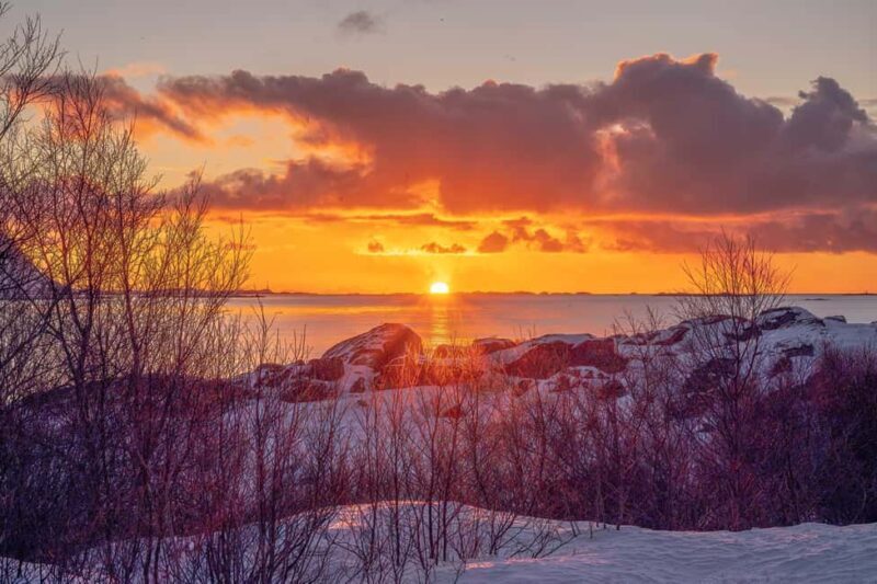 Lofoten: Half-Day Guided Tour with local guide Photo Stops - FAQ