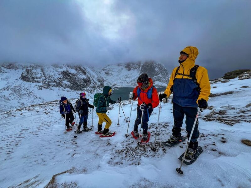 Lofoten: Half Day Snowshoe Tour - Key Points