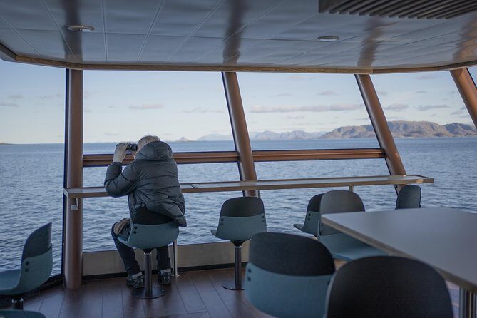 Lofoten Island: Silent Trollfjord Cruise from Svolvær - Final Thoughts