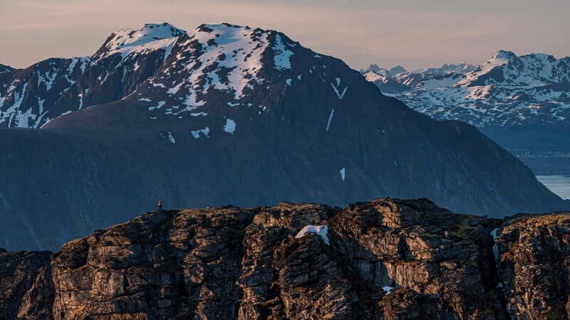 Lofoten Islands: Guided Hiking Into the Wilderness-Easy Tour - Exploring the Lofoten Islands Guided Hike