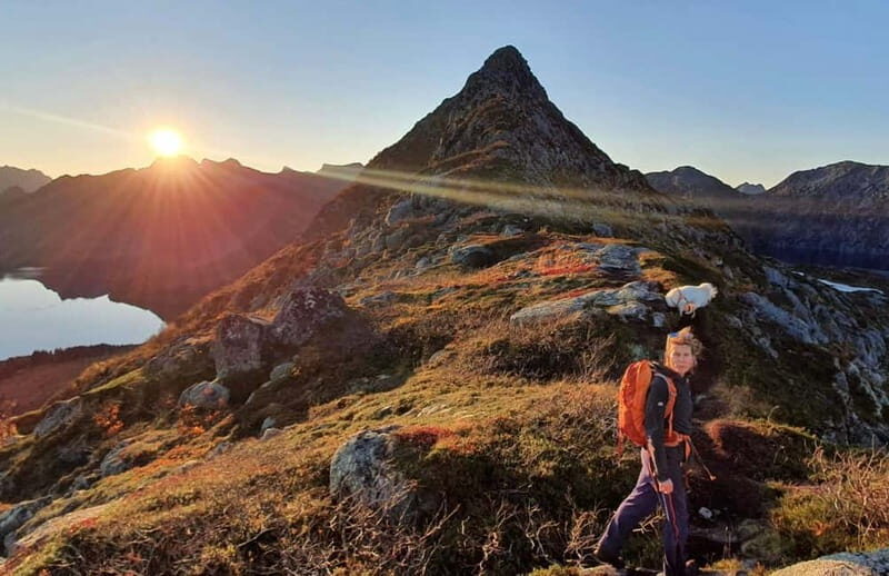Lofoten Islands: Guided Hiking Into the Wilderness-Easy Tour - Authentic Experiences and Practical Details