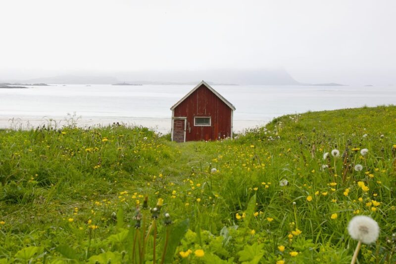 Lofoten: Private tour for cruise visitors (from Leknes) - Experience the Magic of Lofoten with a Private Guided Tour from Leknes