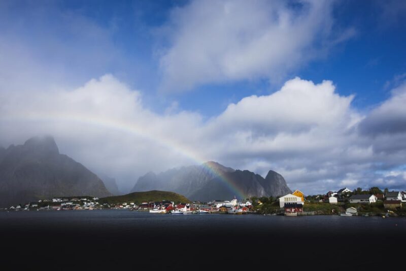 Lofoten: Private tour for cruise visitors (from Leknes) - Key Points