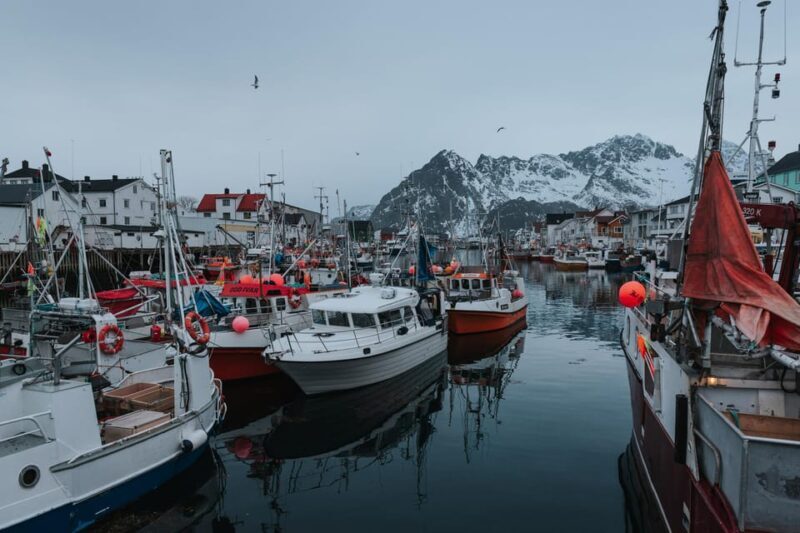 Lofoten Scenic Sightseeing Tour: Half day tour - Transportation, Price, and Group Size