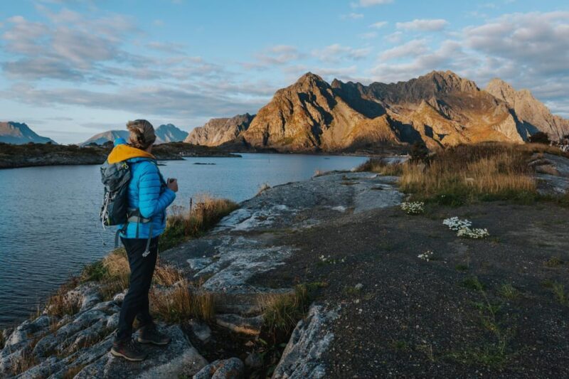 Lofoten Scenic Sightseeing Tour: Half day tour - Why This Tour Is Worth Considering