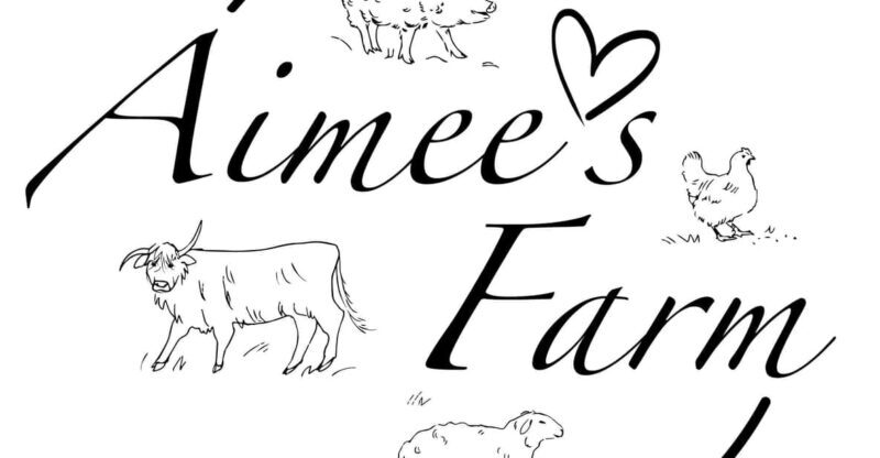 Lofoten (Stamsund and Leknes): Aimees Farm Experience - Authentic Experiences and Real Guest Feedback