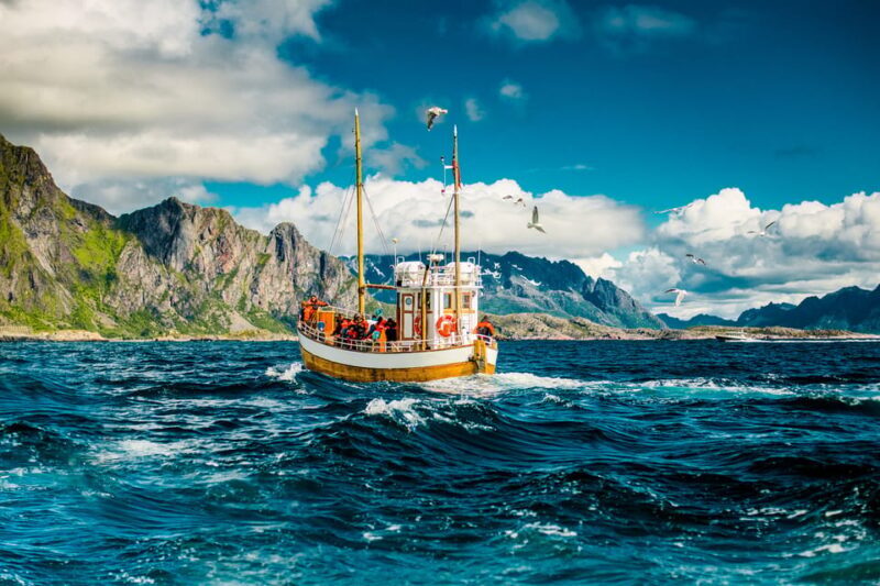 Lofoten: Traditional Fishing Trip - Experience Norway’s Lofoten Islands on a Traditional Fishing Trip