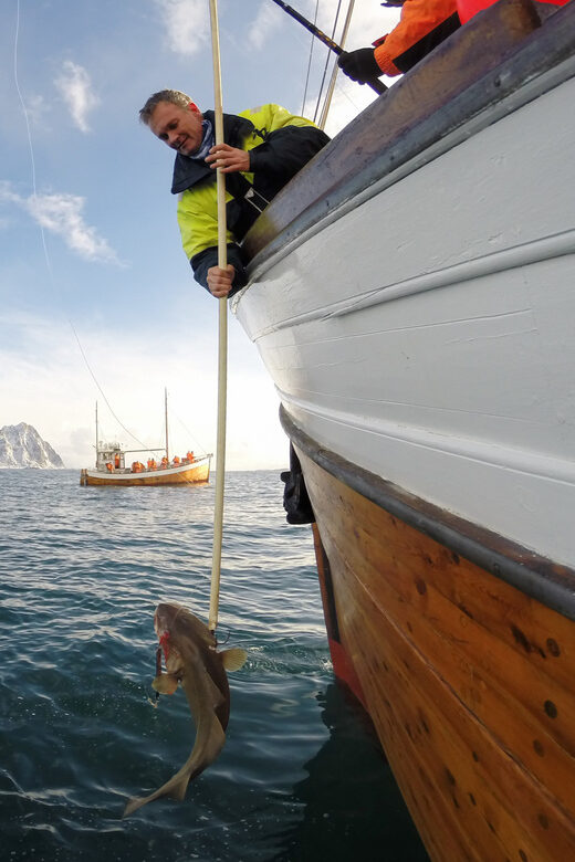 Lofoten: Traditional Fishing Trip - A Deep Dive into the Lofoten Fishing Trip